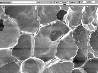 Фотографии среза образцов пеностекла с аморфной структурой